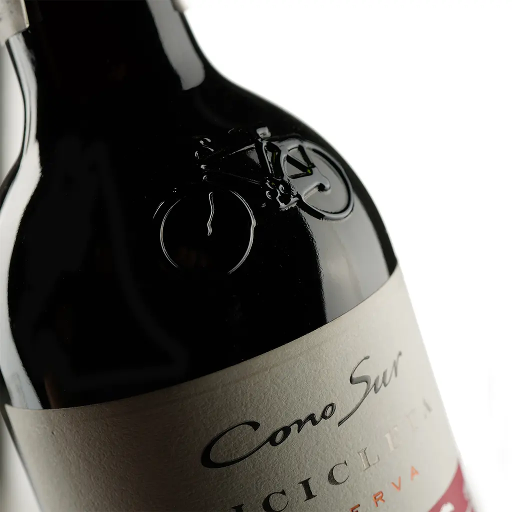 Вино Bicicleta Cabernet Sauvignon, красное, сухое, 13,5%, 0,75 л - фото 3