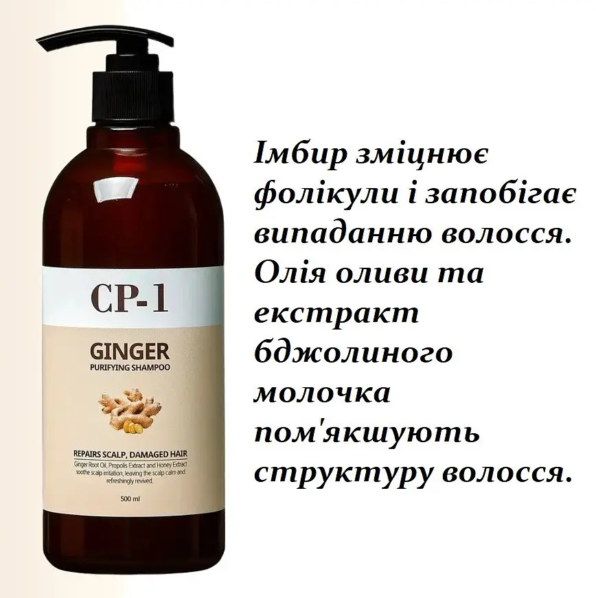 Шампунь для волосся з екстрактом імбиру Esthetic House CP-1 Ginger Purifying Shampoo - 500 мл - фото 4