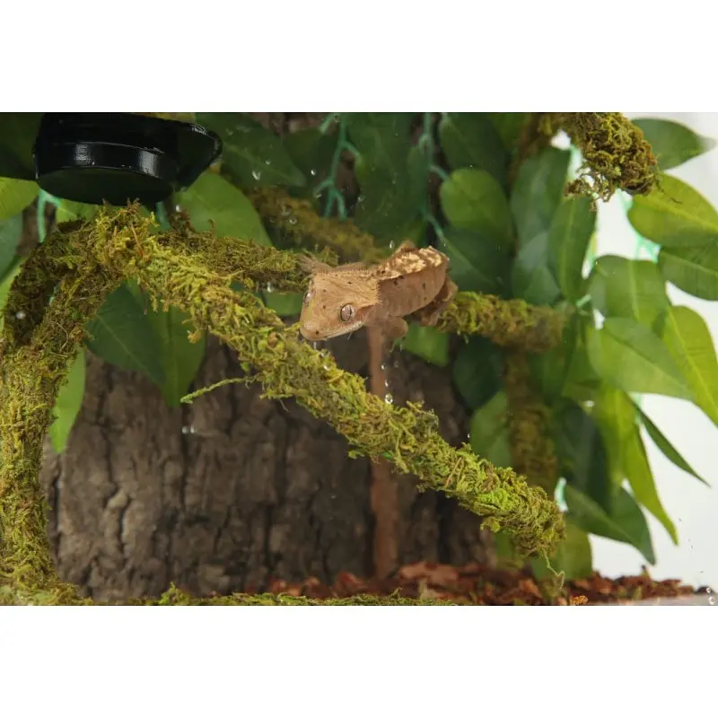 Ліана гнучка з натуральним мохом для тераріуму Repti-Zoo Artificial Moss Vine 1см x 2м (RV0210) - фото 12