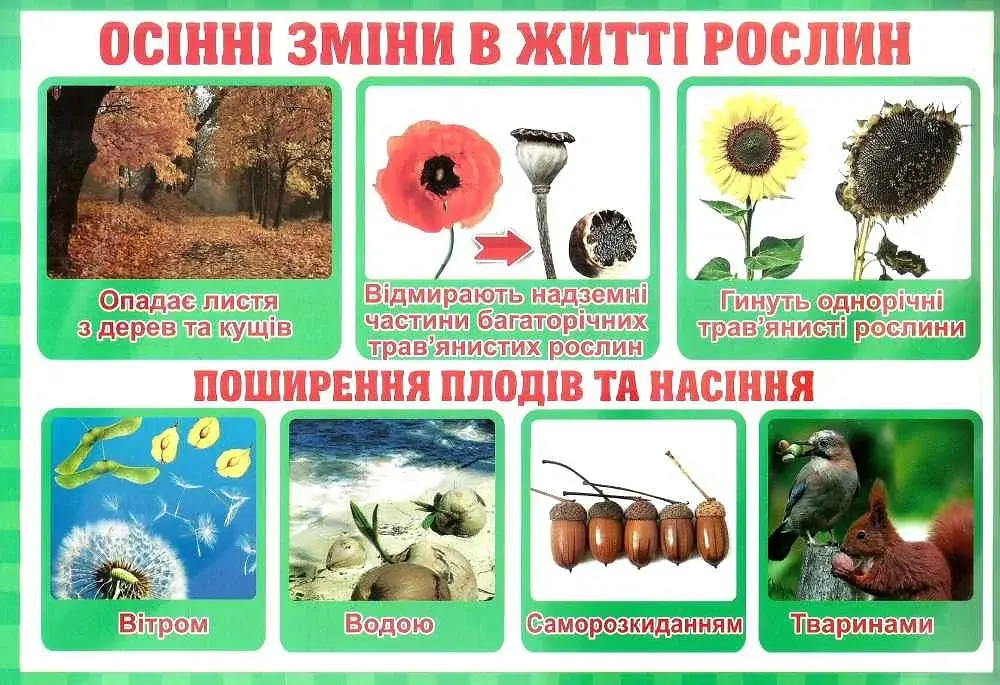 Тека вчителя. Зміни. 2 клас - фото 2