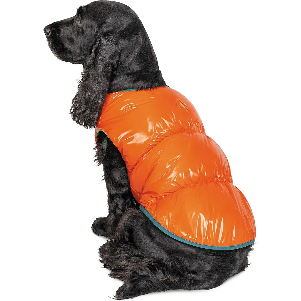 Жилет Pet Fashion Spring XS помаранчевий - фото 3