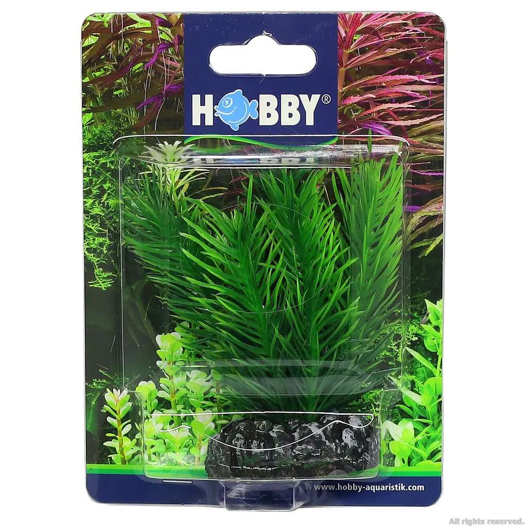 Штучна рослина Hobby Mayaca 7 см (51584) - фото 4