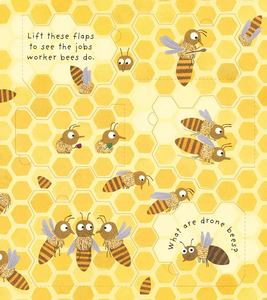 Lift-the-Flap First Questions & Answers: Why Do We Need Bees? - фото 7