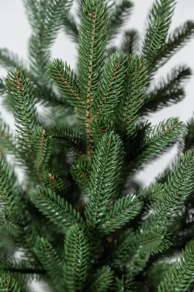 Елка искусственная в горшке литая Венская 1.1 м Зеленая  - фото 3