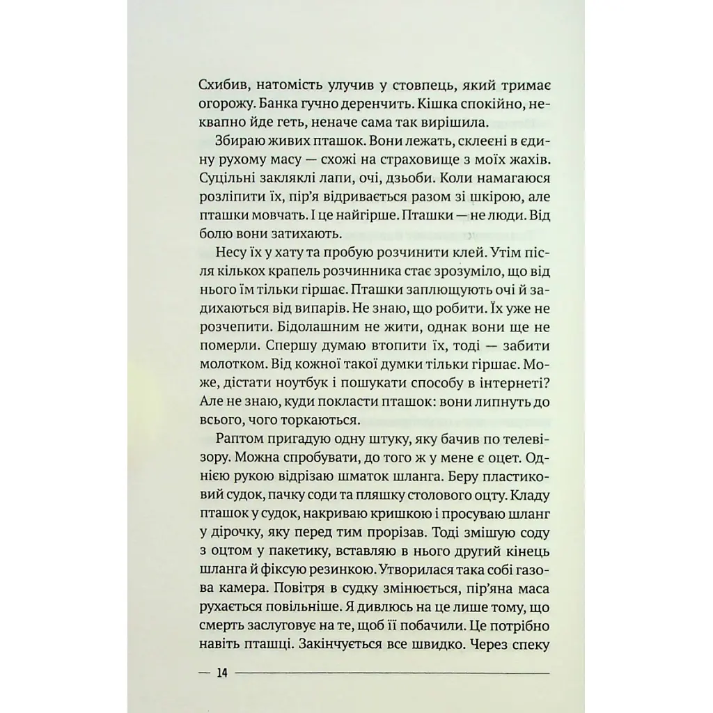 Останній дім на безпечній вулиці - Катріона Ворд Vivat (9789669828538) - фото 10