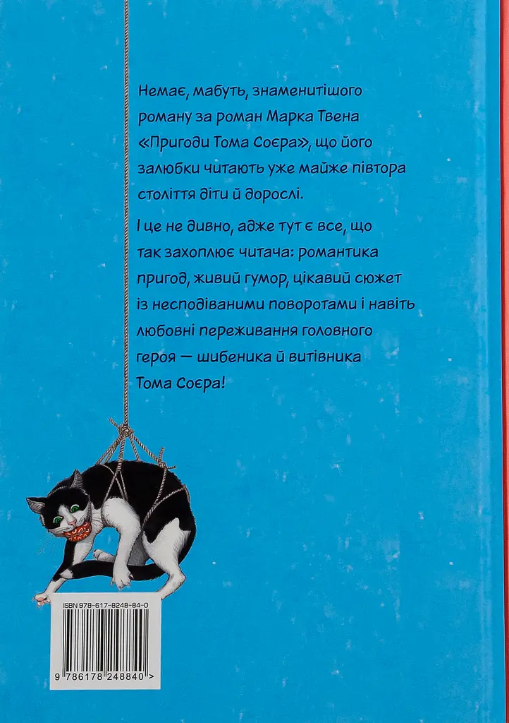 Пригоди Тома Соєра - фото 2