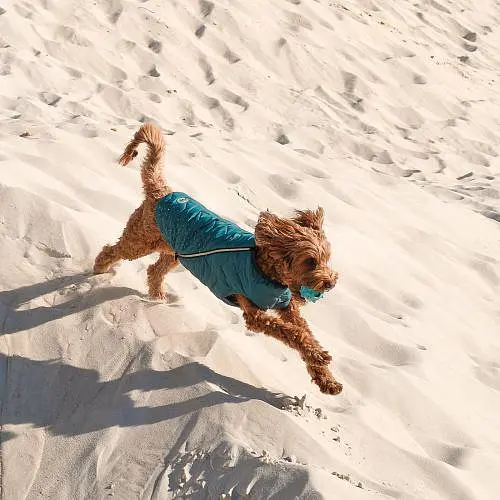Жилет Pet Fashion E.Vest для собак, розмір S, морська хвиля - фото 4