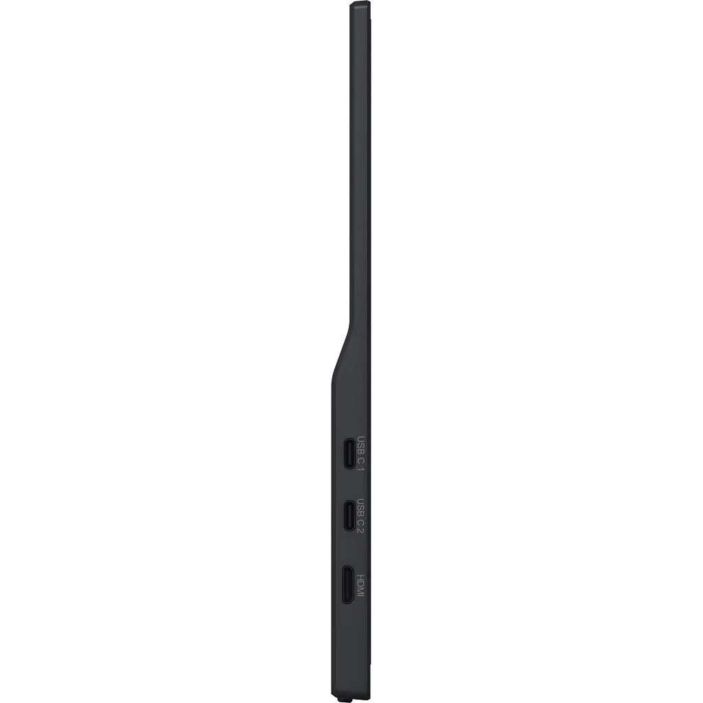 Монітор iiyama P1671HSC-B1 - фото 7