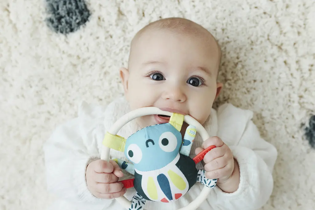 Іграшка-прорізувач Miniland Spider Rattle (97321) - фото 5