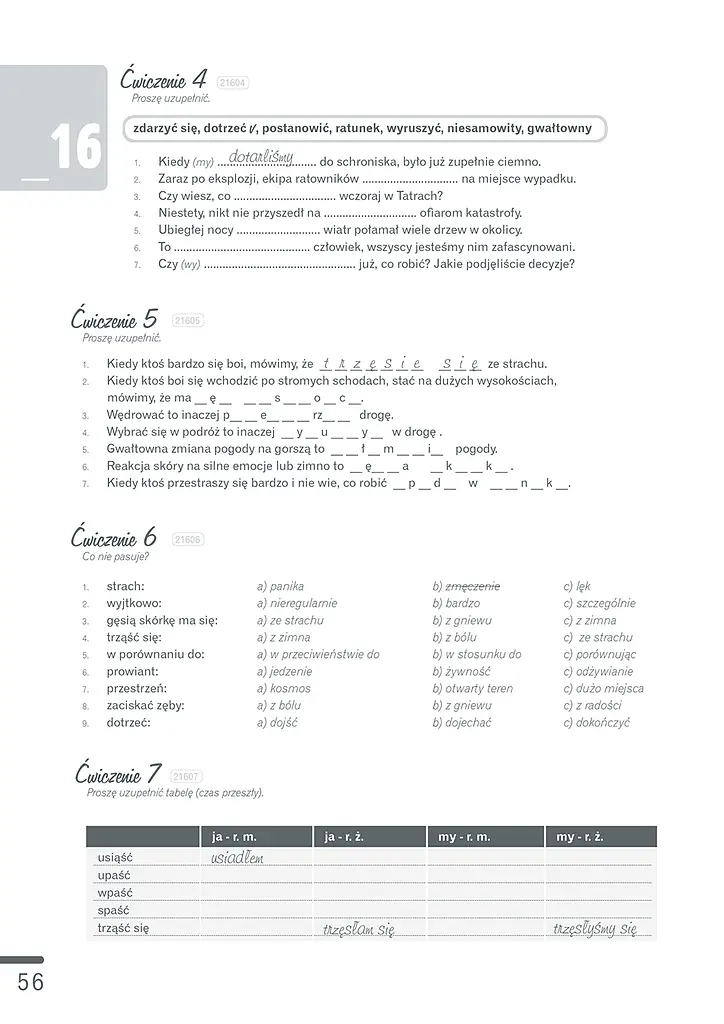 Polski, krok po kroku 2 (A2/B1) Zeszyt ćwiczeń + e-Coursebook - фото 3