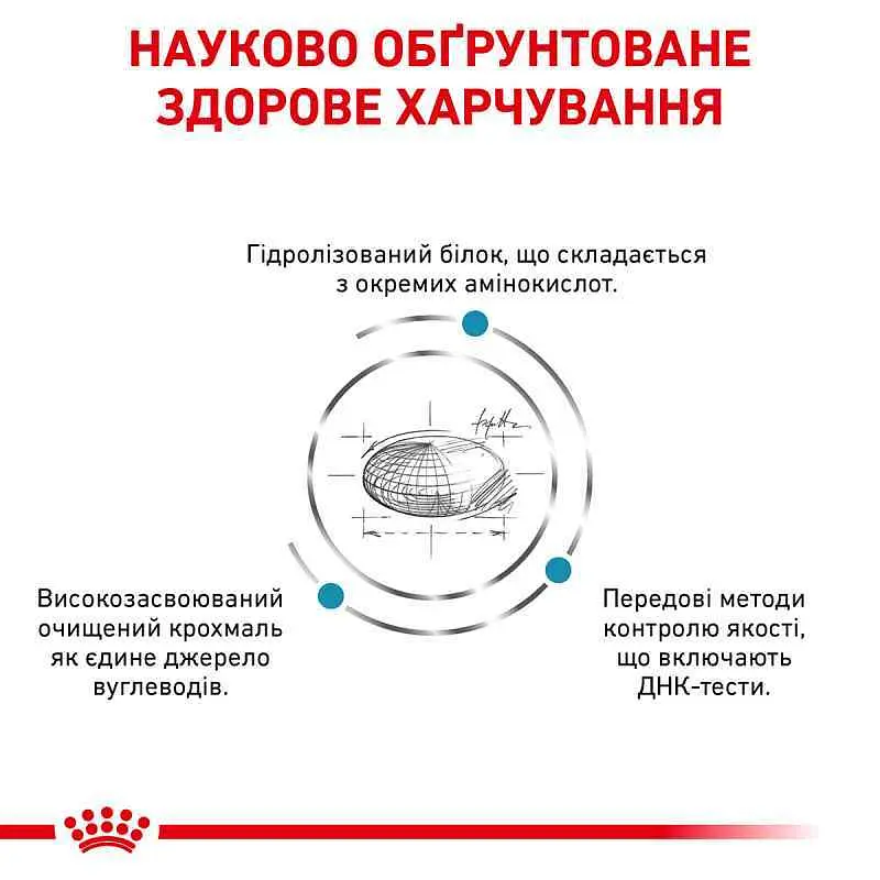 Сухий дієтичний корм для дорослих собак Royal Canin Anallergenic, 8 кг (40140801) - фото 5