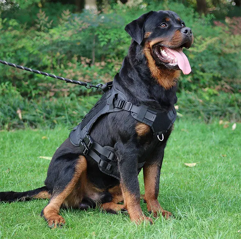 Шлейка для собак Vest, тактичний жилет з ручкою і системою MOLLE, регульований, Чорний M - фото 8