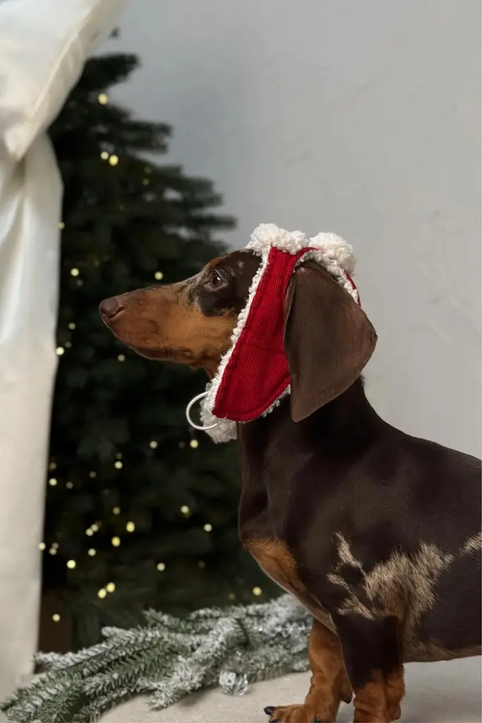 Шапка-вушанка для собак Hat-Dog Новорічна (S) - фото 5