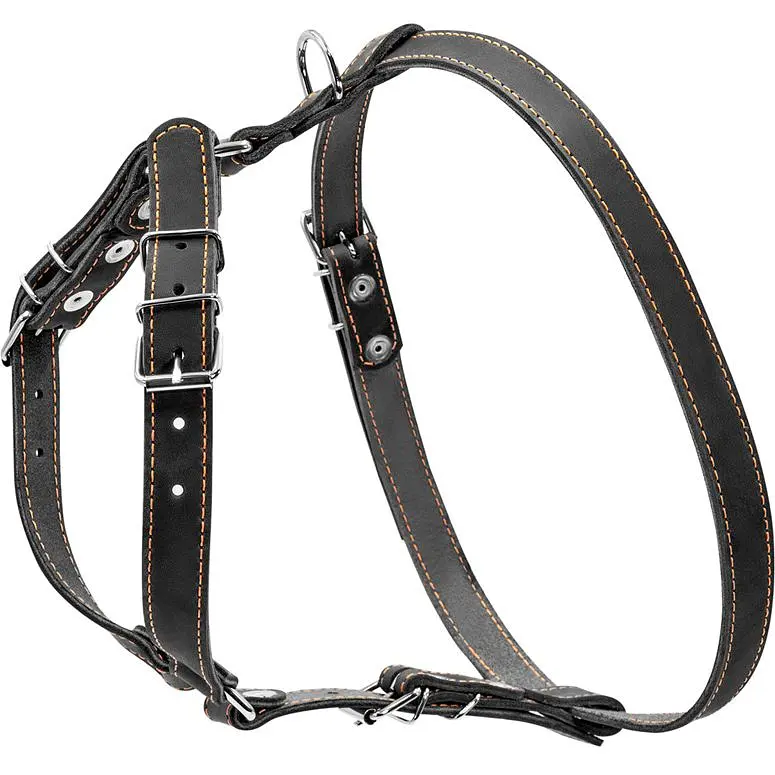 Шлея для собак Collar одинарная, кожа, для мелких и средних пород, 40-56х57-65х2 см, черный (6361) - фото 2