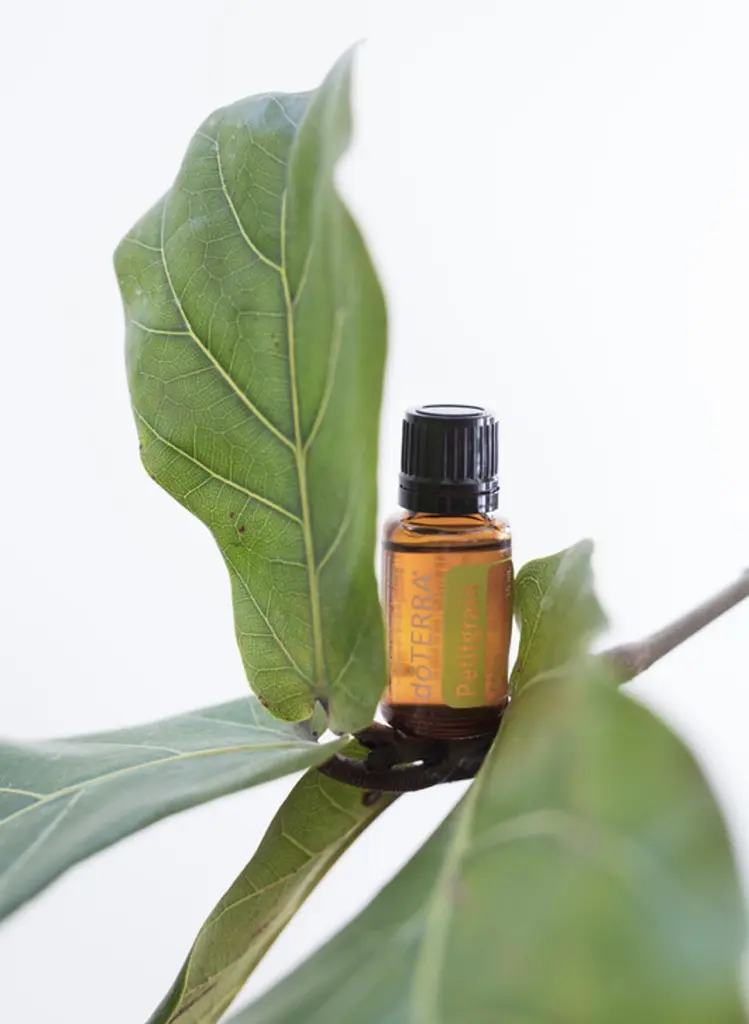 Ефірна олія Петітгрейн doTERRA Petitgrain,15 мл - фото 2