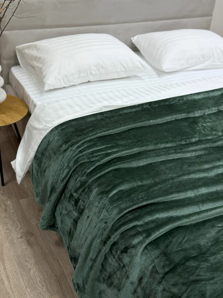 Плед Ecotton 220х240 см Well Soft зелений пудровий (17-0112 Matte green) (24927)