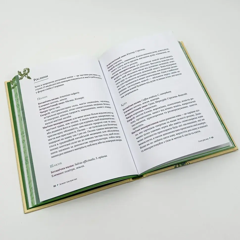 Зелене чаклунство — Пейдж Вандербек | Vivat, книга українською, нова, тверда - фото 6