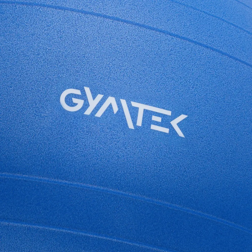 Фитбол Gymtek с насосом 65 см синий - фото 2