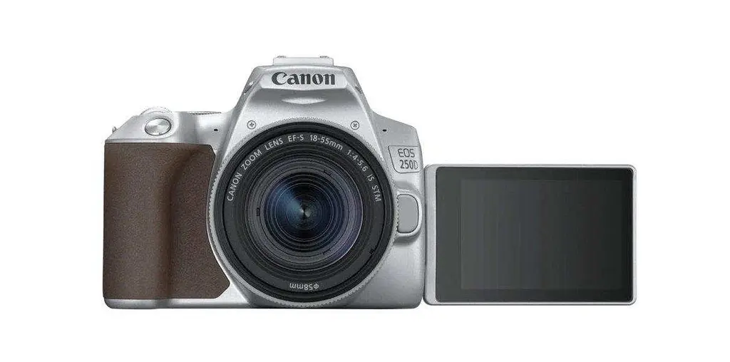 Фотоапарат Canon EOS 250D + 18-55mm IS STM Silver - фото 5