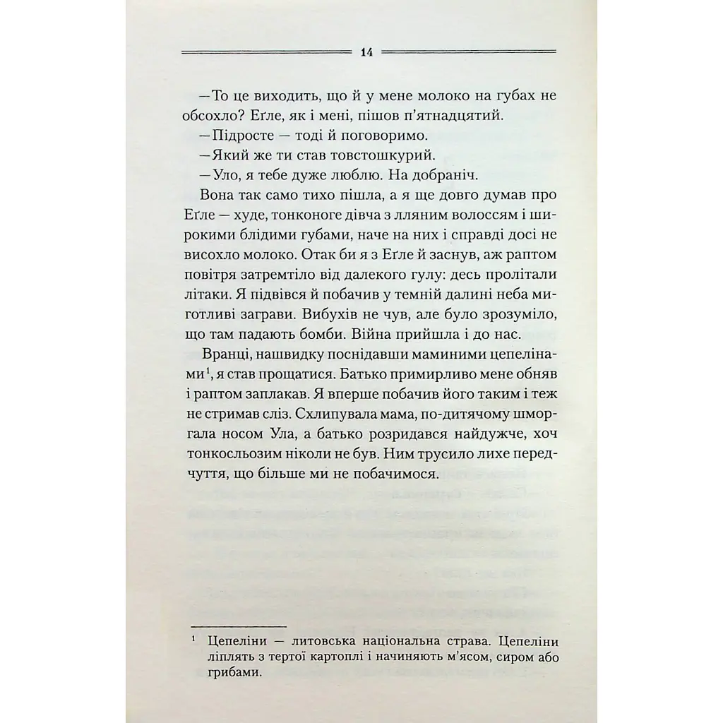 Книга Заячий костел - Василь Шкляр КСД (9786171511378) - фото 2