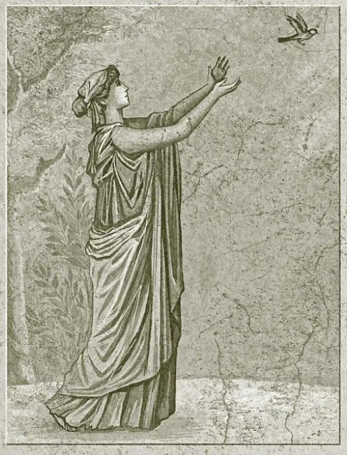 Книга Повне зібрання творів. Байдики, Поеми, Елегії та Епіграми - Ґай Валерій Катулл (Астролябія) - фото 7