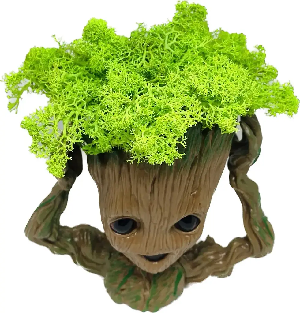 Кашпо горщик зі стабілізованим мохом Грут Groot G4 - фото 4