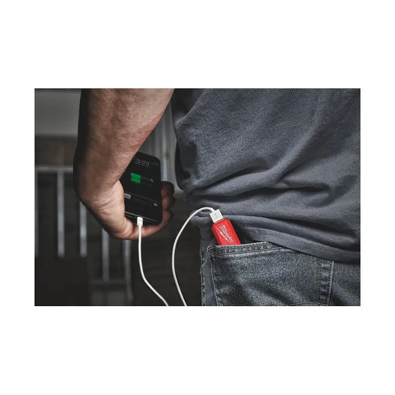 Акумулятор Li-Ion, повербанк 2,1 А PPS-301 із зарядним пристроєм USB L4 MILWAUKEE 4932493335 - фото 4