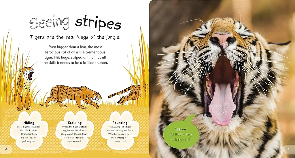 The Incredible Fold-Out Book of Animals - фото 5