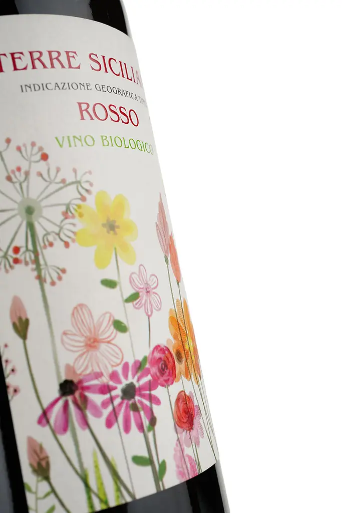Вино Terre Siciliane Rosso Biologico IGT, красное, сухое, 12,5%, 0,75 л - фото 3