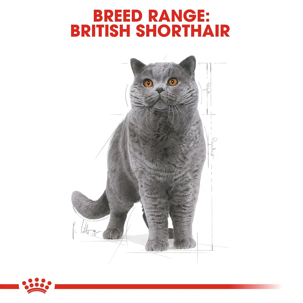 Сухий корм для британських короткошерстих дорослих котів Royal Canin British Shorthair Adult з м'ясом птиці 10 кг - фото 3