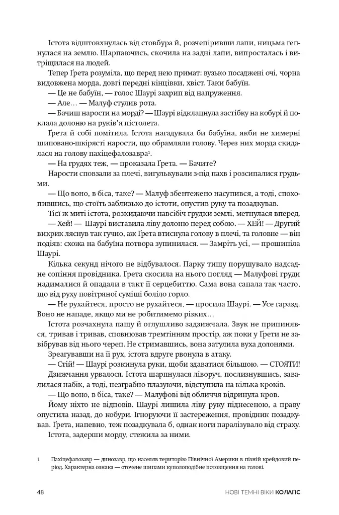 Нові Темні Віки. Колапс - Макс Кідрук - фото 10
