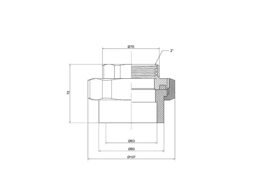 Американка Thermo Alliance d 63мм поліпропіленова 63х2"В для поліпроп. труб (DSI006) - фото 2