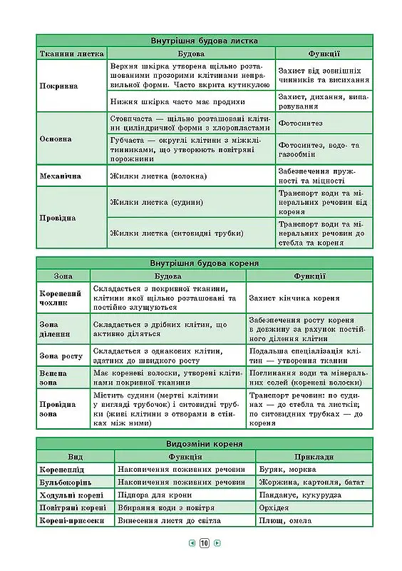 Довідник у таблицях. Біологія. 7–11 класи - Ольга Конобевська - фото 3