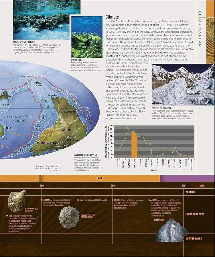 Dinosaurs and Prehistoric Life. The Definitive Visual Guide - фото 4