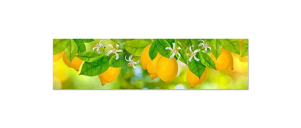 Кухонний фартух Лимони вінілова наклейка ПВХ цитруси фрукти Жовтий 65х250 см Happy Pocket Z180755 - фото 7