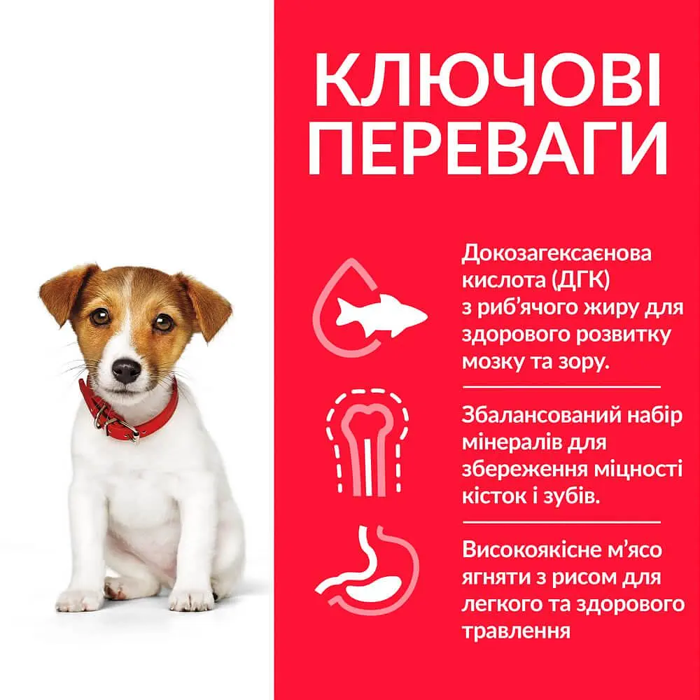 Сухий корм Hill’s SP Puppy Smal&Mini для цуценят малих і мініатюрних порід, з ягням і рисом, 0,3 кг - фото 3