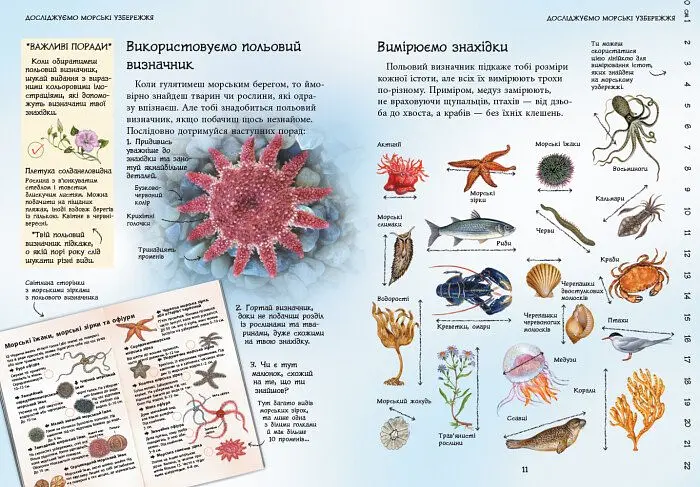 Книга Ранок Стежками природи. Океанічні й морські узбережжя - Сара Кортольд (С791002У) - фото 6