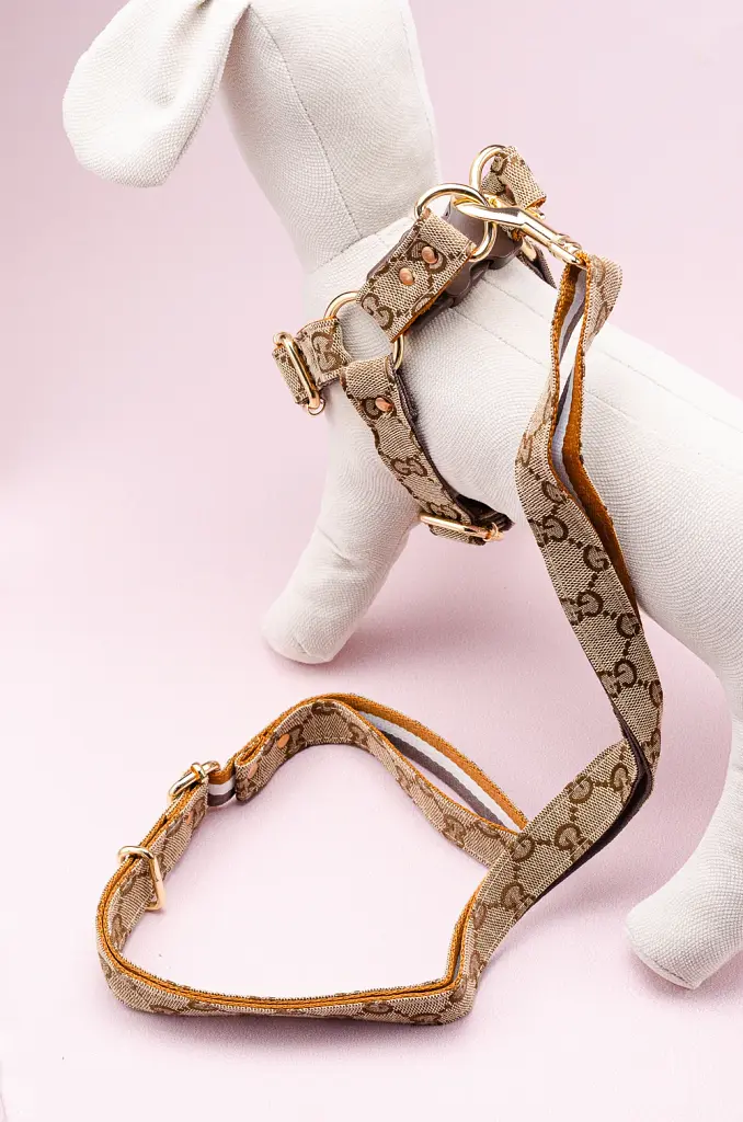 Комплект шлейка + повідець 1.5м в стилі Gucci (Бежевий) (Бежевий) M - фото 2