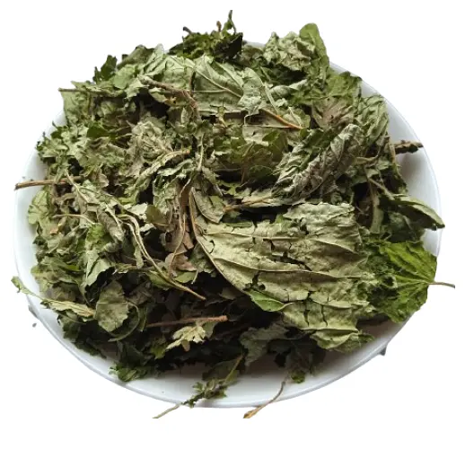 Ліщина Листя Горішник Орішина Лісовий горіх Corylus avellana - фото 2