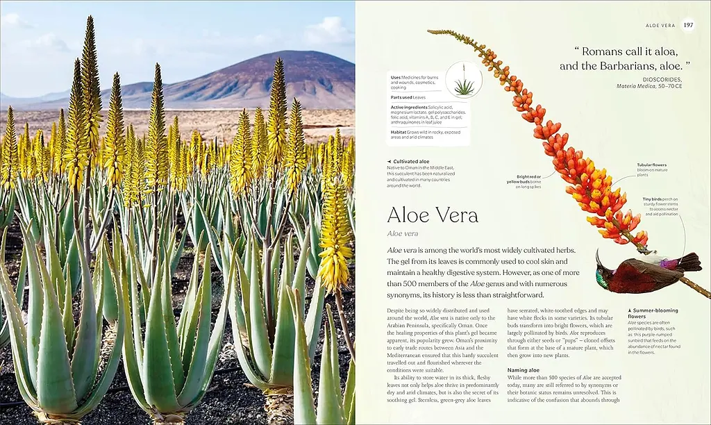 The Herb Book - фото 6