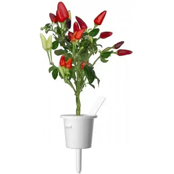 Змінний картридж Click & Grow Smart Garden Перець Чілі, 3 капсули (7311) - фото 2