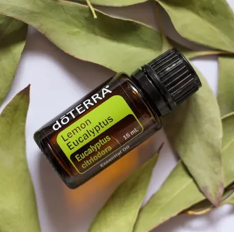 Ефірна олія Лимонний евкаліпт Lemon Eucalyptus doTERRA, 15 мл