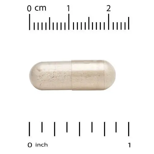 Фосфоліпіди Sunflower Phosphatidylserine 100 mg 120 Capsules CGN vit0004789 - фото 3