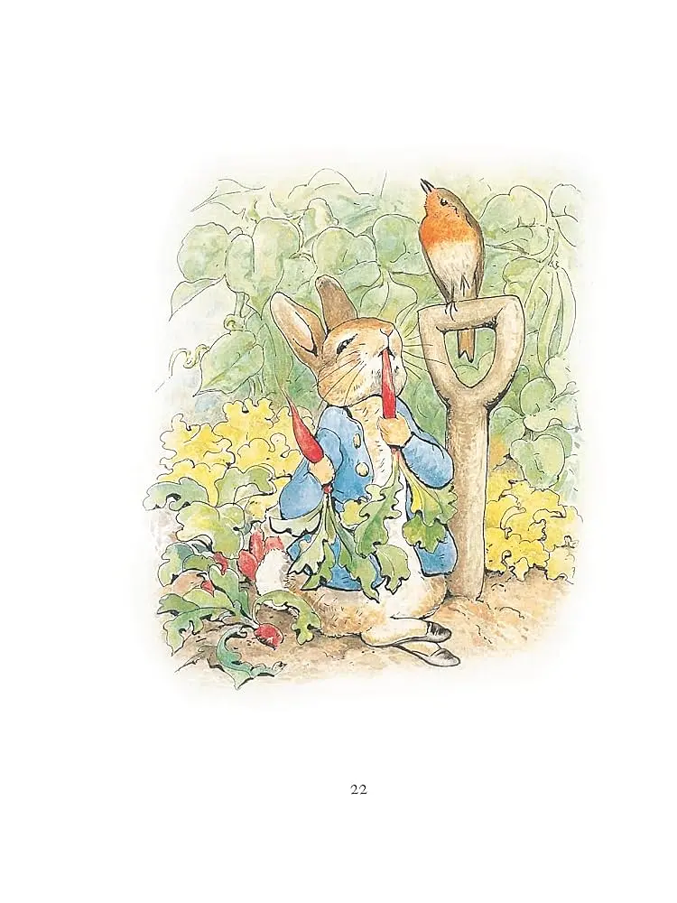 My First Peter Rabbit Collection - Беатрікс Поттер - фото 3