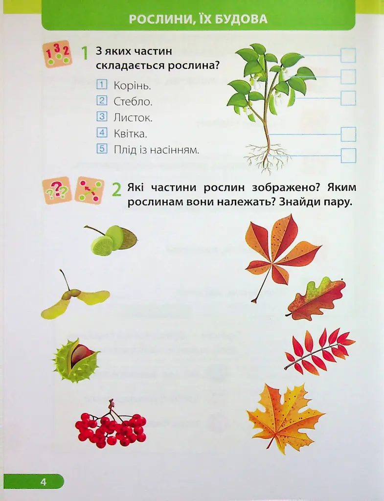 Я досліджую світ. Робочий зошит. 1 клас. Частина 2 - Лариса Мечник - фото 5