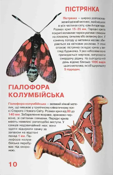 Велика книжка. Метелики - фото 4