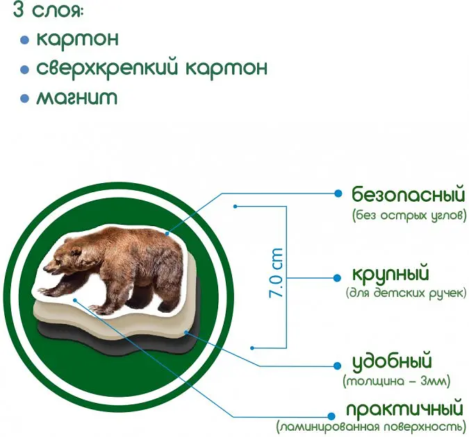 Магнітний набір Magdum Лiсові мешканці (ML4031-29 EN) - фото 4