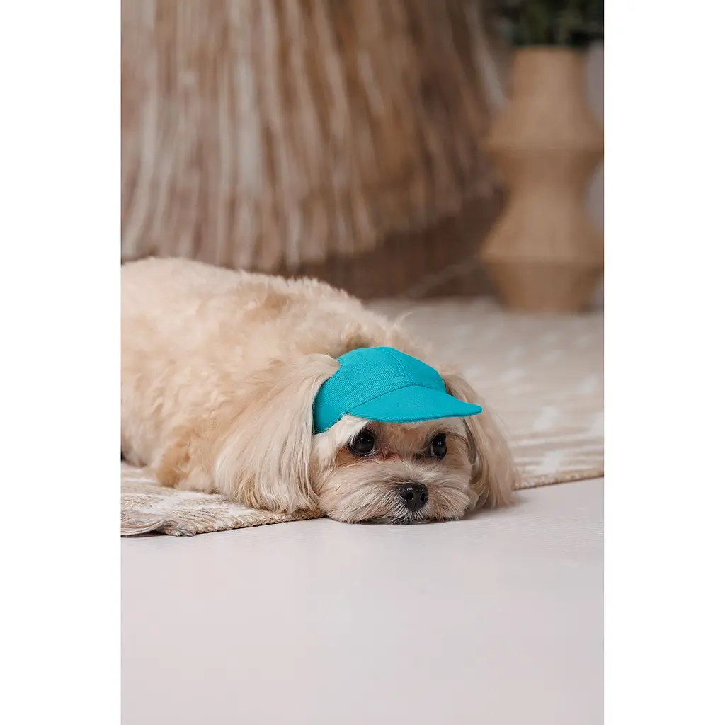 Кепка Pet Fashion Topaz для собак L - фото 6