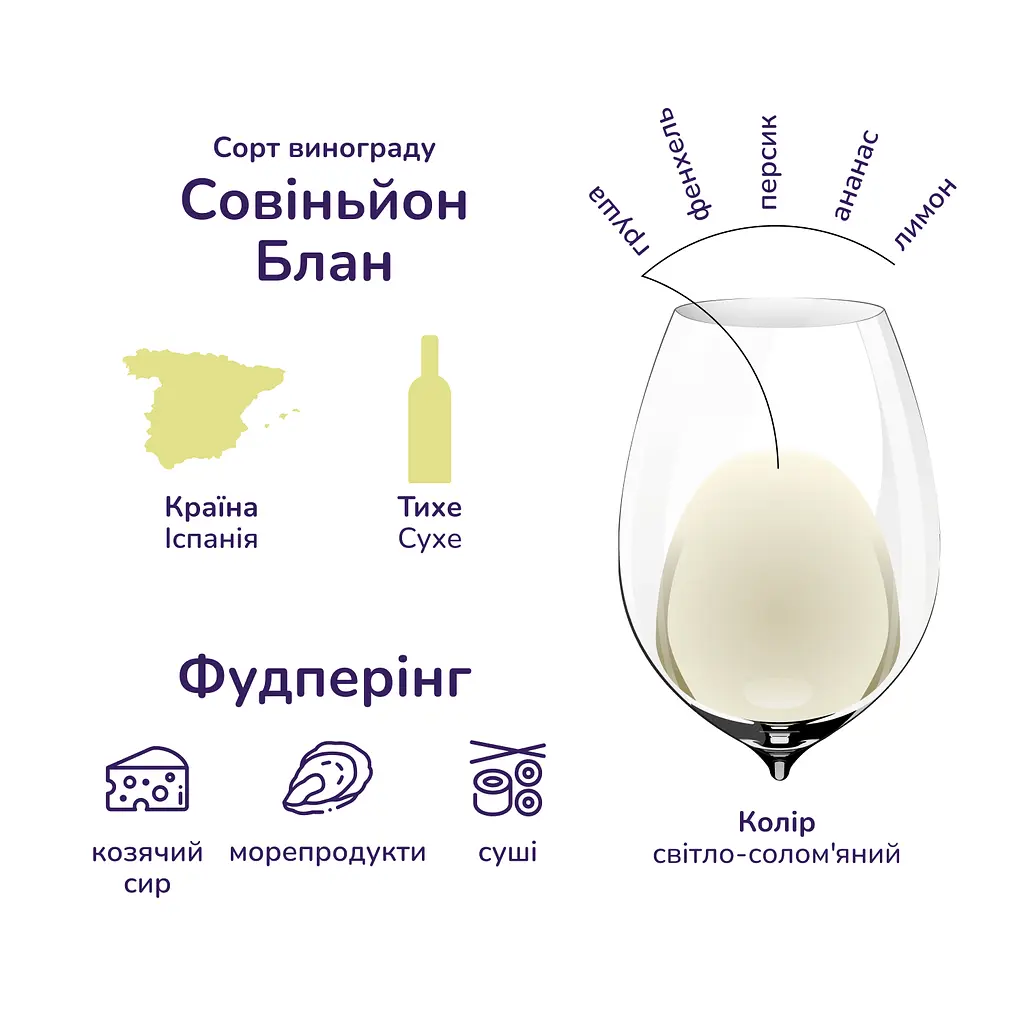 Вино Don Simon Sauvignon Blanc, біле, сухе, 12,5%, 0,75 л - фото 6