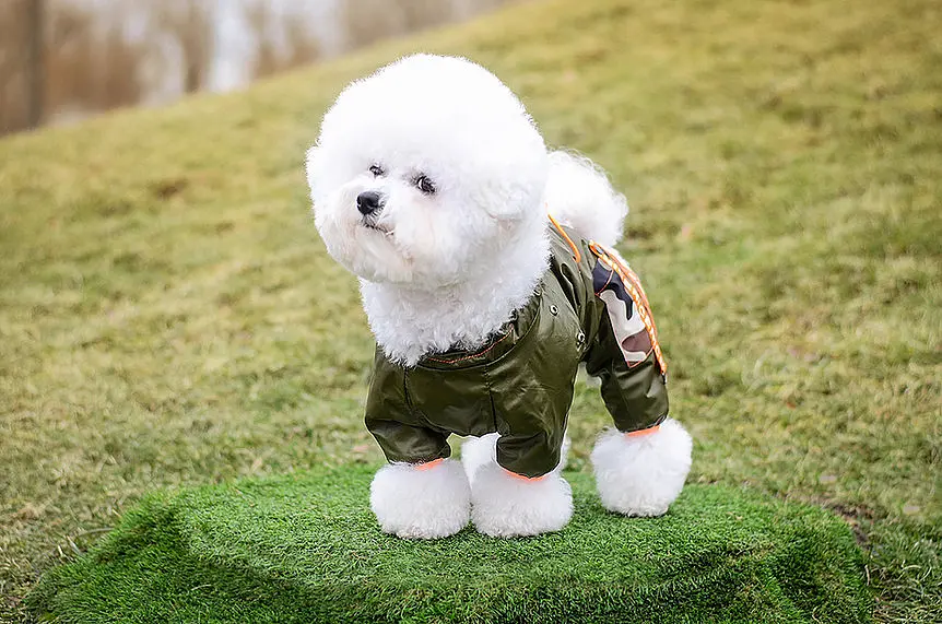Комбінезон Smart Pet Olive - фото 2